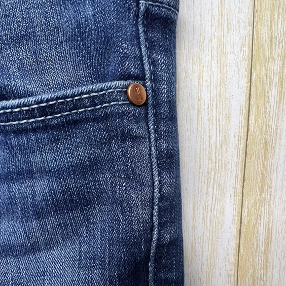 Anthropologie by Pilcro and the Letterpress Stet Fit Denim Skinny Jeans Sz 28 - Picture 11 of 16